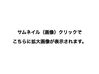 てすと