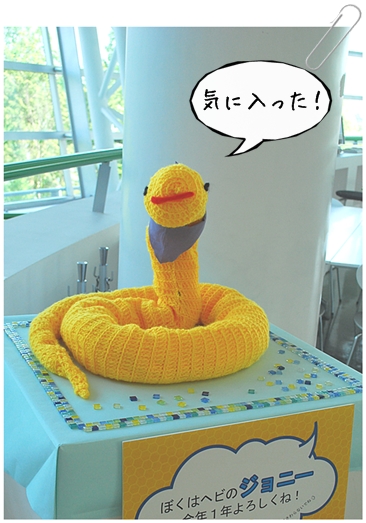 CɓI