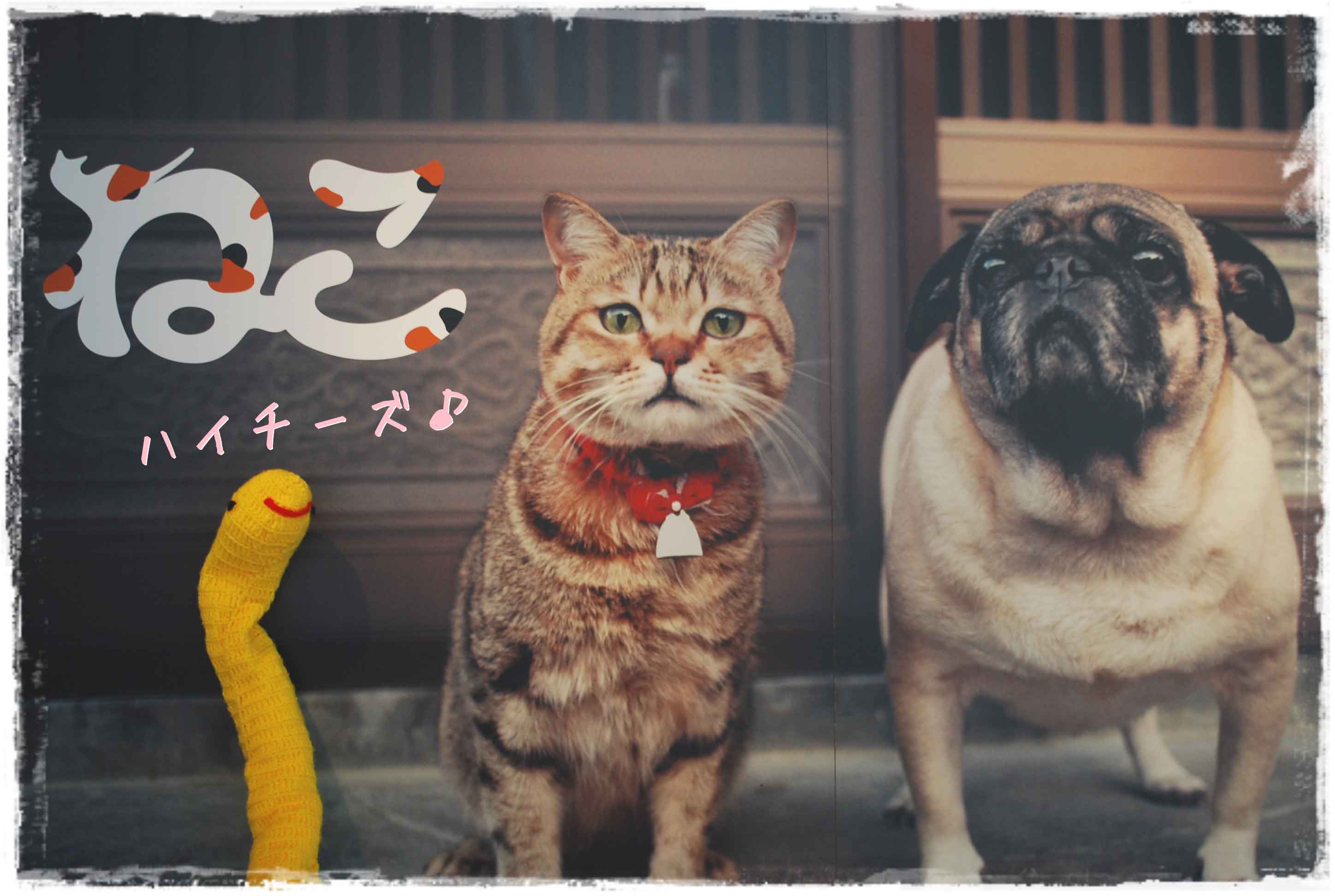 ˂ƂʂƃWj[